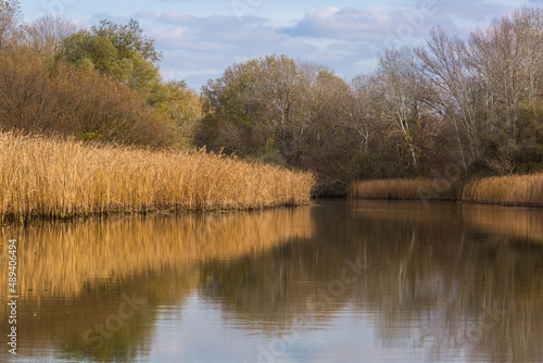 Beautiful autumn day on Tisza lake in Hungary