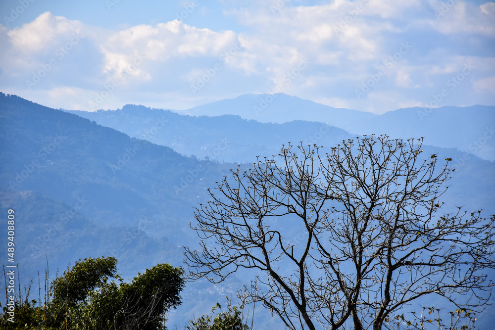 Picturesque himalya ridges and Silver birch tree in background Picturesque himalya ridges and Silver birch tree in background