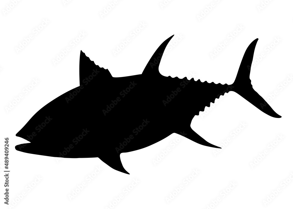 Obraz premium Big tuna fish. Vector image.