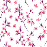 Seamless pattern of flowering sakura branches. Watercolor seamless pattern. Watercolor illustrations. Seamless pattern on white background. Sakura watercolor