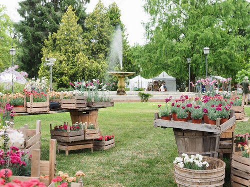 Ferrara, Italy. Sale of plants and flowers in Piazza Ariostea, a public park in the historic center.