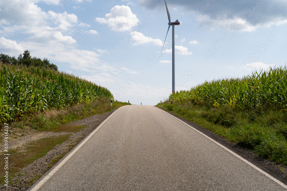 Rural road with corn fields on the sides and a blue sky in summertime