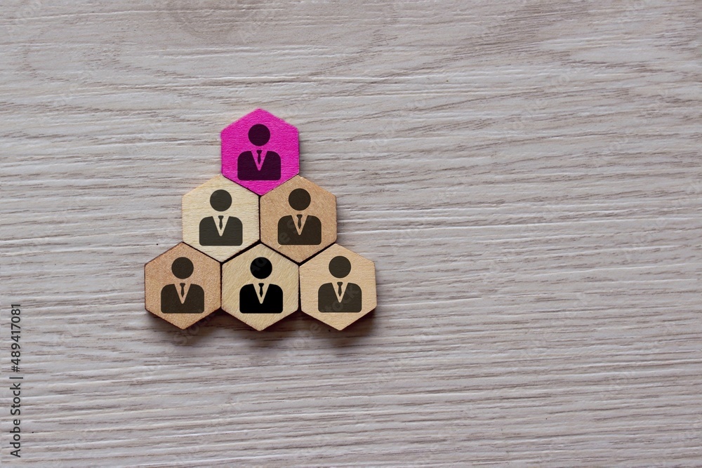 Organizational chart, leadership concept. Top view image of wooden hexagon with employee icon. Copy space for text. - obrazy, fototapety, plakaty 