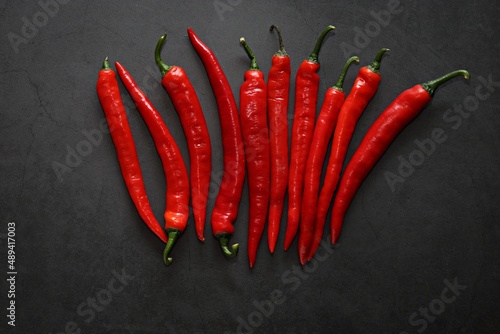 Red hot chili pepper with herbs and spices on dark background. Flat layot. Selective vocus
