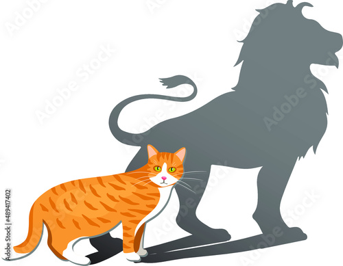 cat thinks lion shadow self imagination thoughts courage