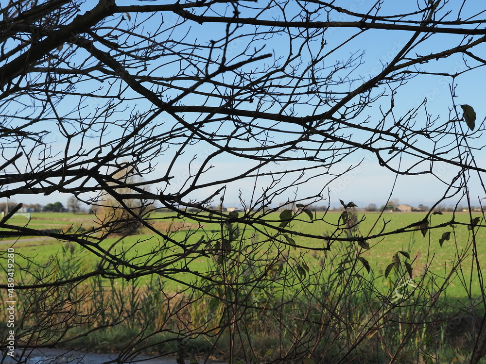 Obraz premium Northern Italy, Ferrara province, countryside landscape in autumn.