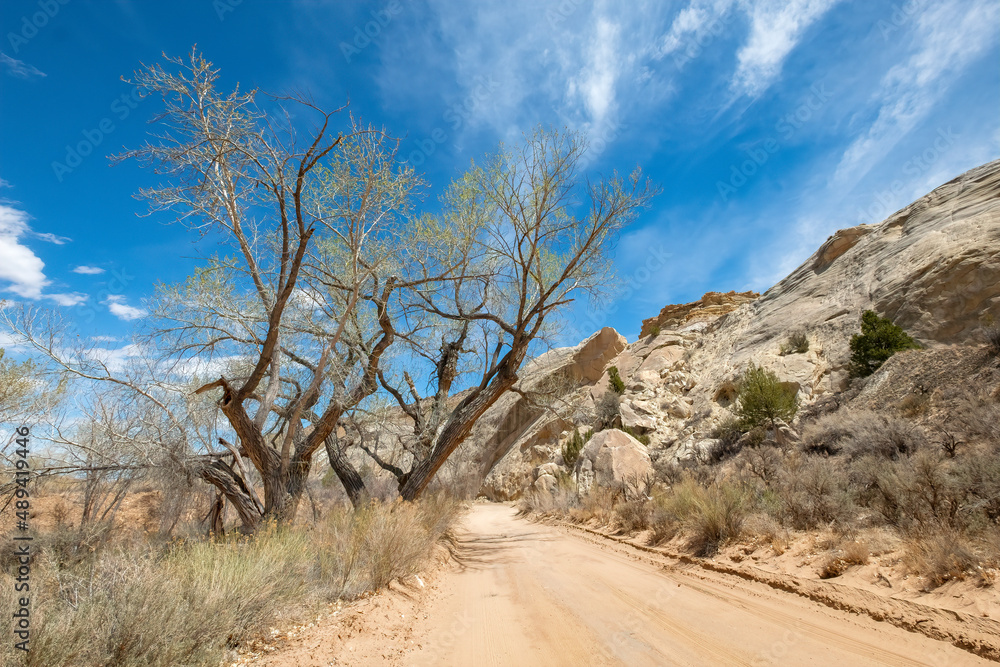 Fototapeta premium Scenery on Cottonwood Canyon Road, Grand Staircase-Escalante National Monument, Utah 