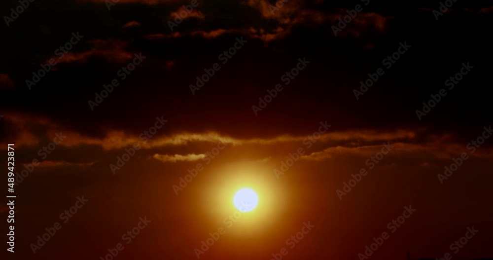 Landscapes nature sun light earth orange skies sky renewable energy plant Landscapes nature sun light earth orange skies sky renewable energy plant