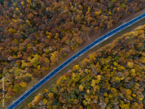Aerial view of road passing through the autumn forest.