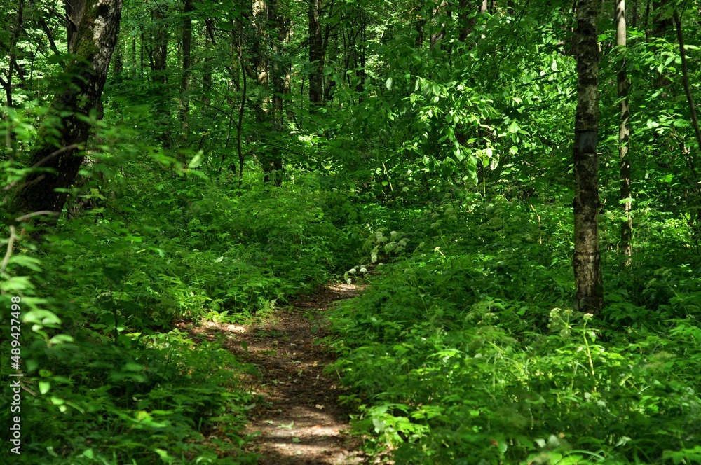 Nature is the world around us, not created by man. That which is primary, which appeared long before man. The natural habitat of man. Forests, mountains, seas, oceans, flora, fauna, and man himself. Nature is the world around us, not created by man. That which is primary, which appeared long before man. The natural habitat of man. Forests, mountains, seas, oceans, flora, fauna, and man himself.