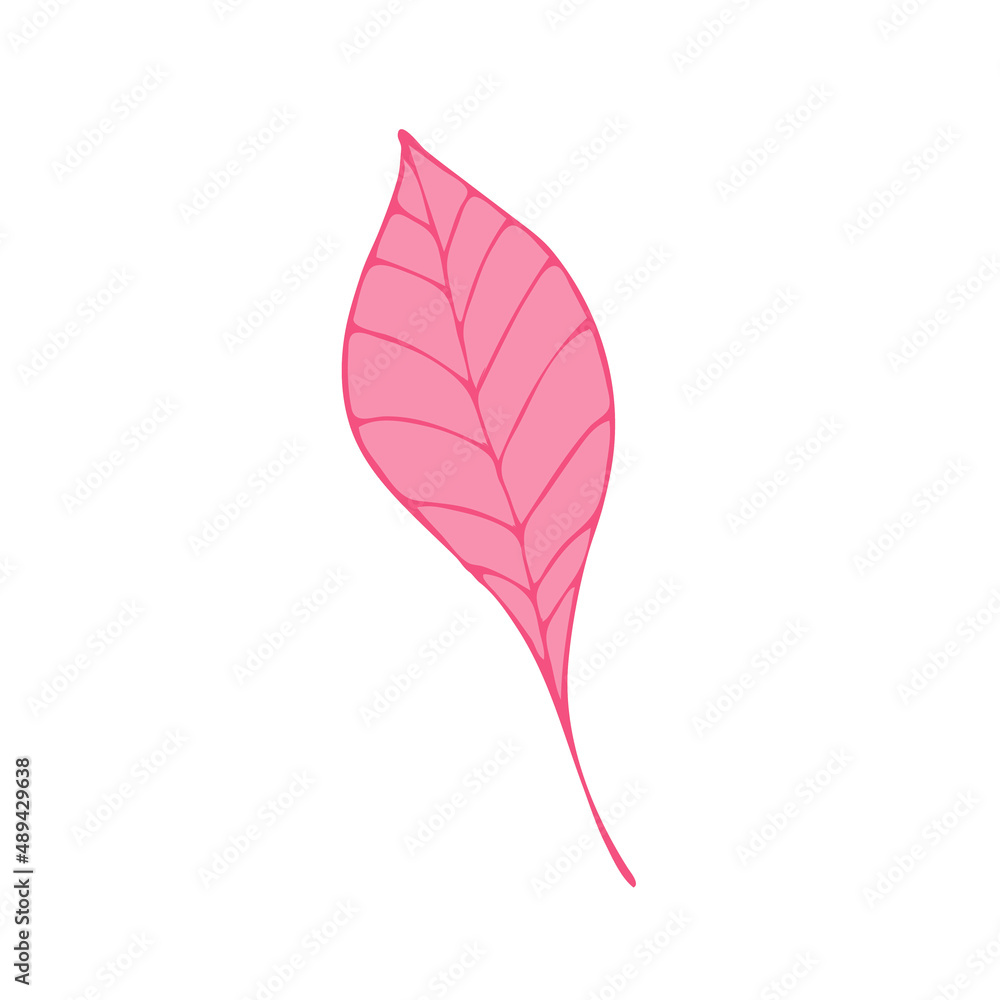 Leaves in the style of doodles. Vector design elements of a black line drawn by hand. Leaves of various plants, flowers and trees. Vector illustration. Leaves in the style of doodles. Vector design elements of a black line drawn by hand. Leaves of various plants, flowers and trees. Vector illustration.