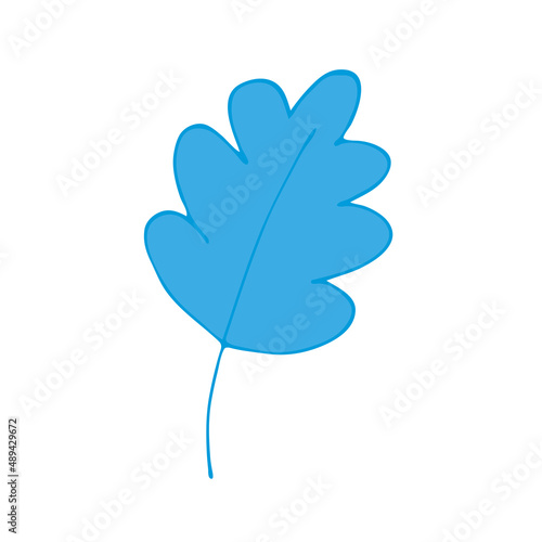 Leaves in the style of doodles. Vector design elements of a black line drawn by hand. Leaves of various plants, flowers and trees. Vector illustration.