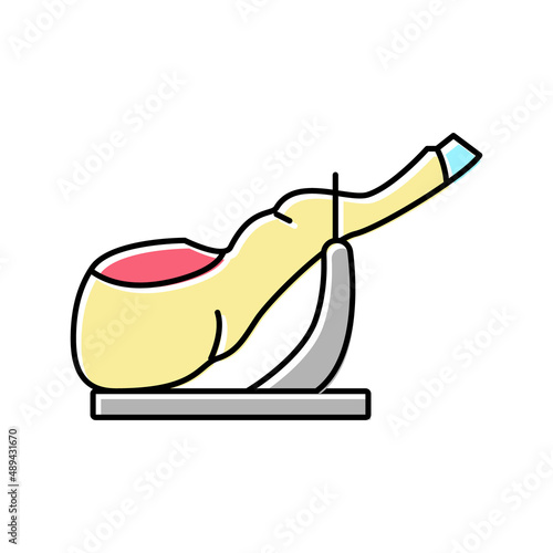 ham leg meat color icon vector illustration