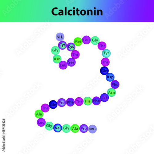 Calcitonin  hormone peptide primary structure. Biomolecule schematic amino acid sequence on white background.
