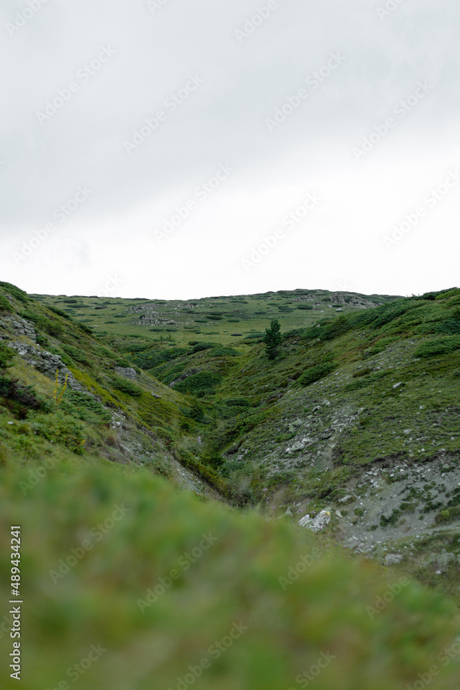 Fototapeta premium landscape with clouds