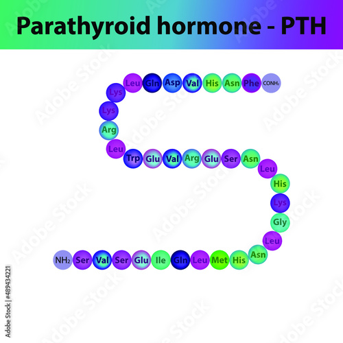 PTH Parathyroid hormone hormone peptide primary structure. Biomolecule schematic amino acid sequence on white background.