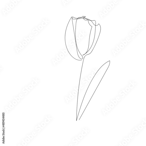 flower continuous one line icon. Isolated single flower silhouette. Modern minimal style linear logo. Floral element, symbol for poster, social media stories, card, cover. Vector scribble