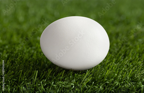 White chicken egg on green grass. Easter egg. Traditional Easter hunt. Closeup.