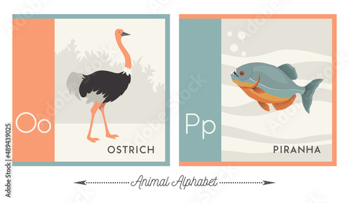 Illustrated alphabet with animals for kids. Letter O for ostrich and letter P for piranha. Vector collection of wildlife. For printable cards, learning tools, decor.