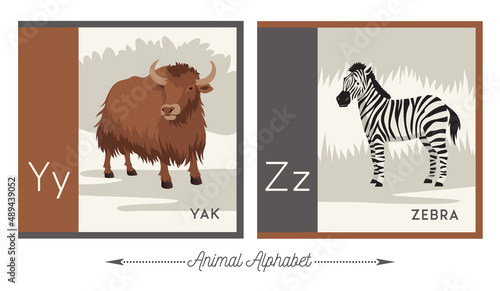 Illustrated alphabet with animals for kids. Letter Y for yak and letter Z for zebra. Vector collection of wildlife. For printable cards, learning tools, decor.