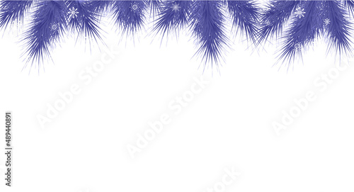 Frame with fir tree on transparent background very peri toned