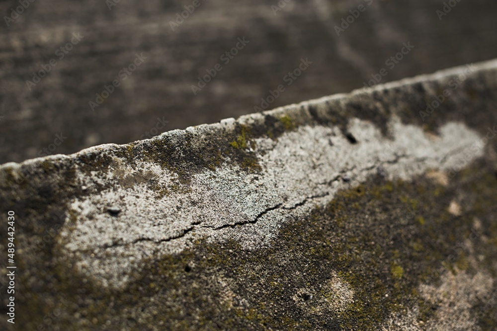 Cracked concrete, building slowly dilapidated, stadium gaits, close-up of erosion, construction, weather effects, weather Cracked concrete, building slowly dilapidated, stadium gaits, close-up of erosion, construction, weather effects, weather