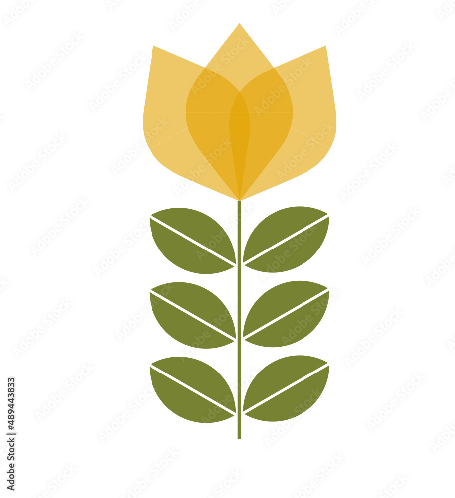 symmetrical flower symmetrical flower