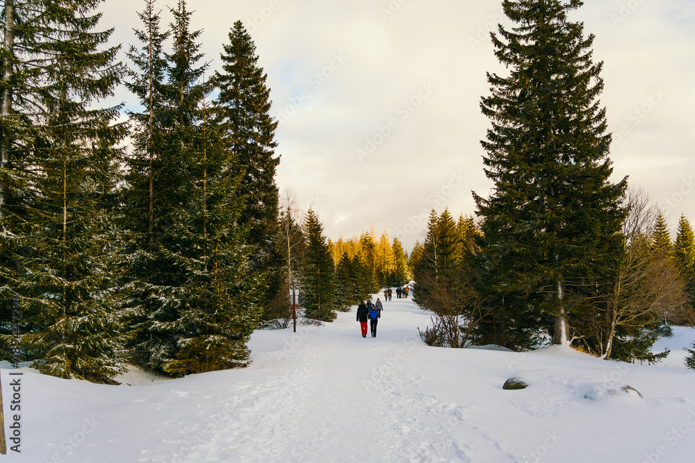 Man Hiking in the Mountains in Winter