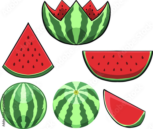 a compilation of watermelon illustration in many shapes