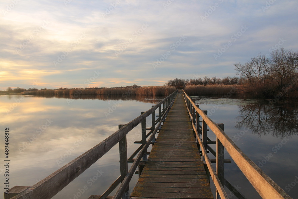 Fototapeta premium Wooden pontoon in the marshes of Candillargues pond in the south of Montpellier 