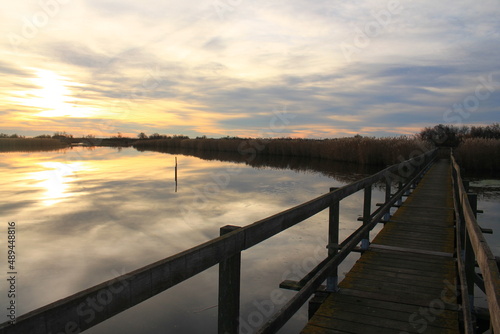 Wooden pontoon in the marshes of Candillargues pond in the south of Montpellier 