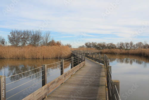 The natural Mejean lagoon, a protected wetland in Montpellier, France  © Picturereflex