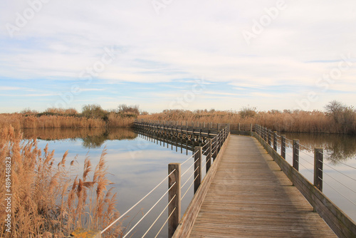 Fototapeta Naklejka Na Ścianę i Meble -  The natural Mejean lagoon, a protected wetland in Montpellier, France
