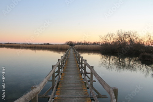 Wooden pontoon in the marshes of Candillargues pond in the south of Montpellier 