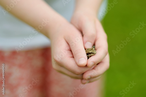Child hands holding a babyfrog on beautiful summer day in forest