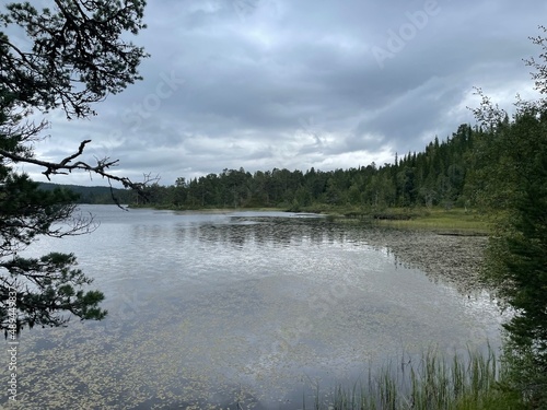 lac forêt