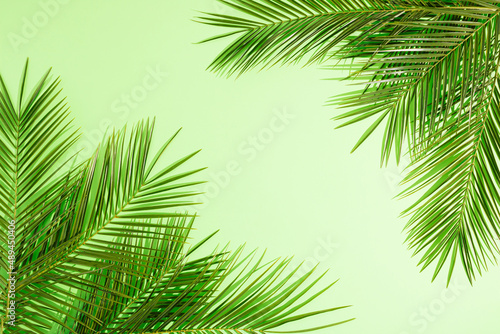 Summer green palms with shadows against gradient green background. Minimal top view concept. Creative sunny backdrop with negative space.