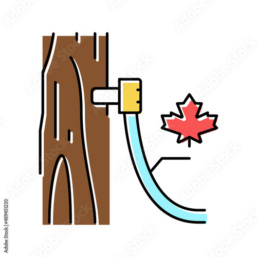 maple sap collection, using tubing method color icon vector illustration