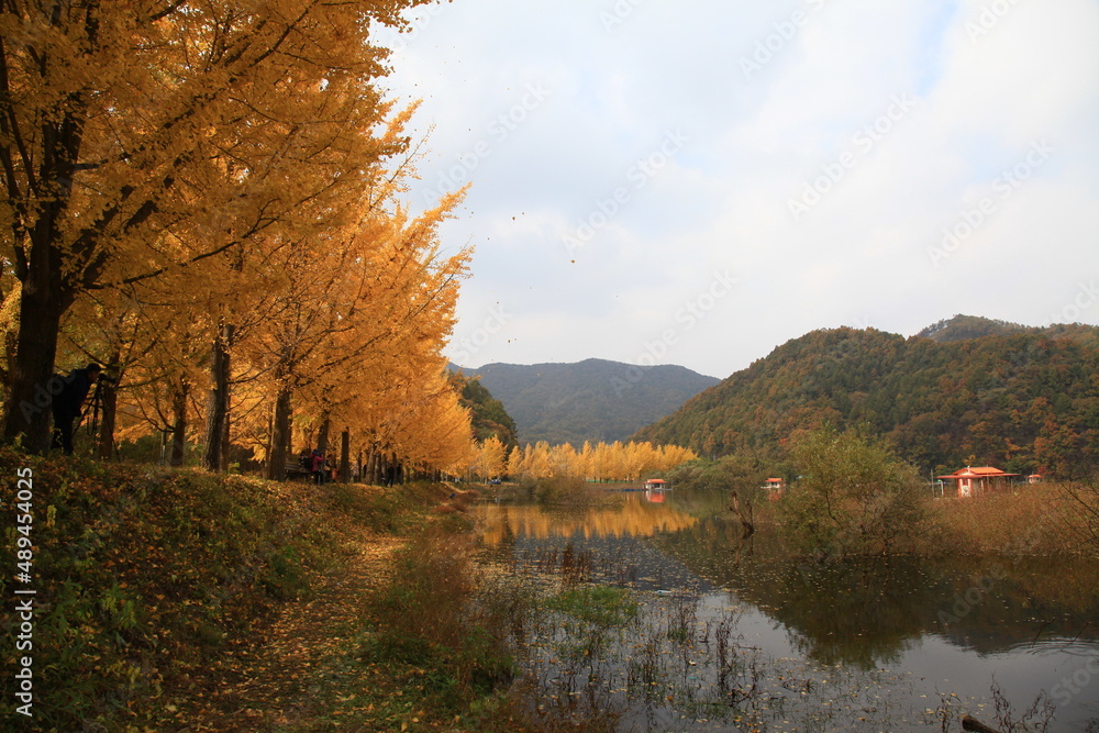 Obraz premium autumn landscape
