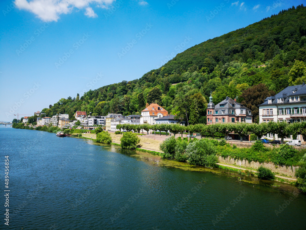 River forest and historic houses at Heidelberg