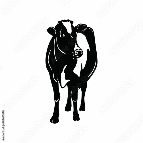 cow breed logo  silhoutte of young and healthy cow standing  vecter illustration