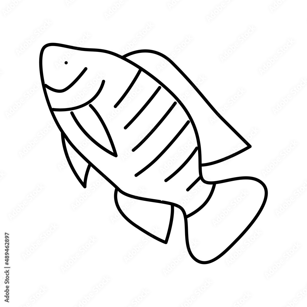 nile tilapia line icon vector illustration nile tilapia line icon vector illustration
