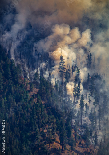 Smokey wildfire in forest © David Elkins