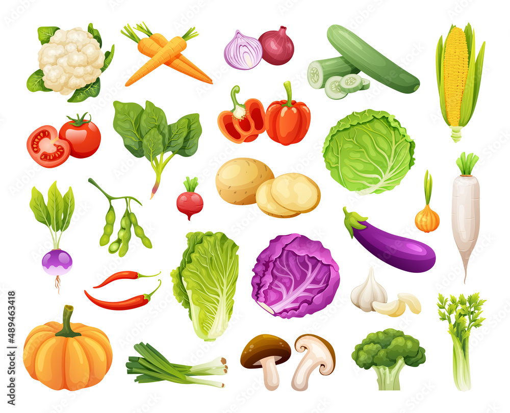 Set of organic vegetables vector illustration Set of organic vegetables vector illustration