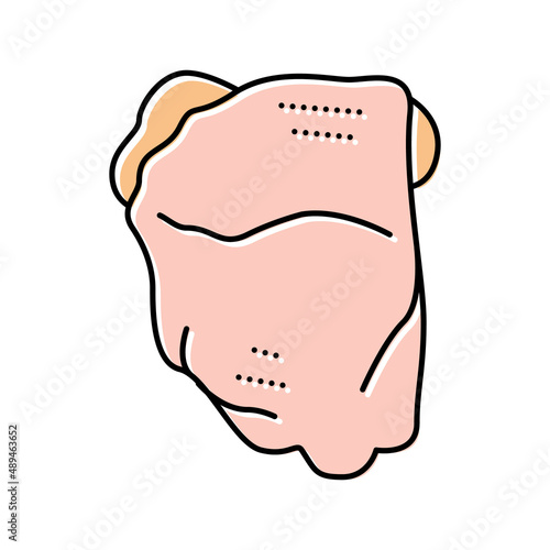 thigh bone-in chicken color icon vector illustration