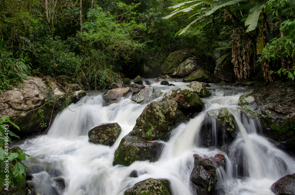 waterfall in the forest