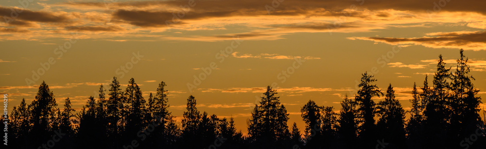 Bright orange sunset sky filled with clouds and a silhouetted tree line, as a nature background
