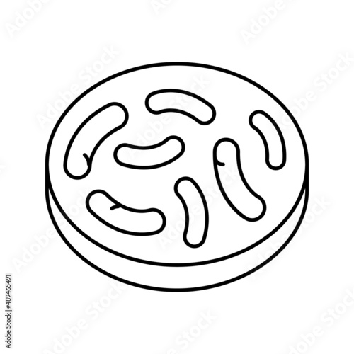 gut bacteria line icon vector illustration