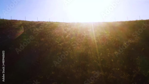 Beautiful outdoor ranch landscapes, shots of a overlanding Toyota 4Runner with a rooftop tent on an off road adventure, vast golden mountain tops with long views of valleys and oak trees and incredibl