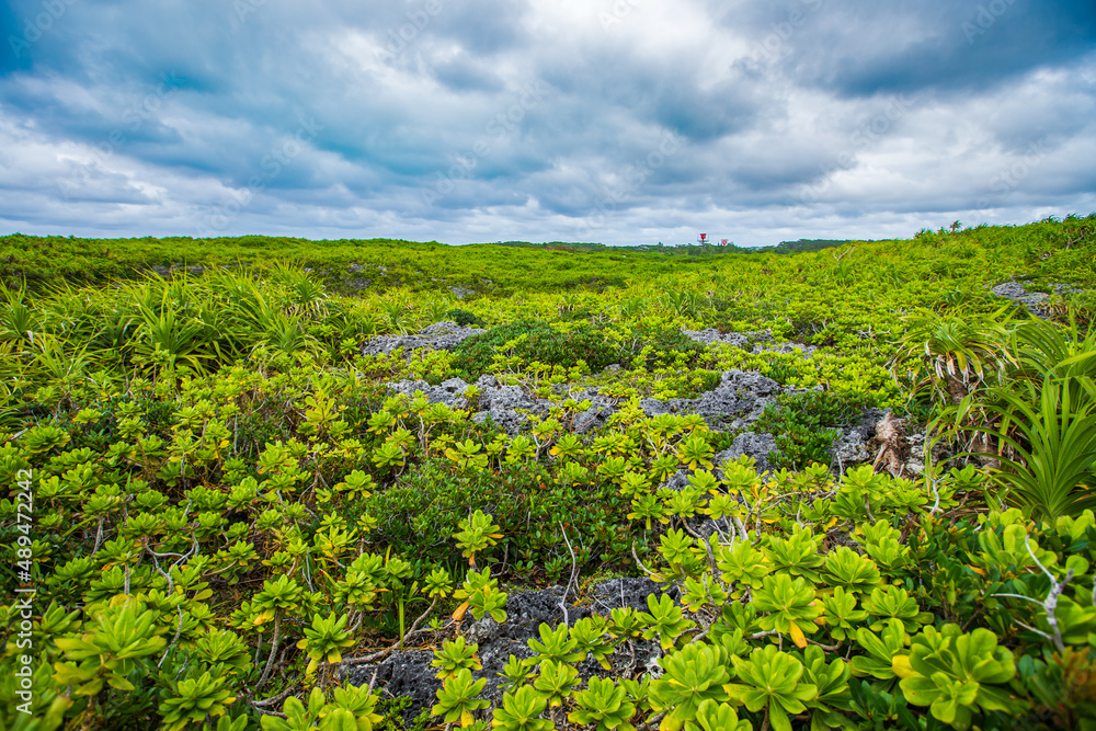 Naklejka premium 沖縄県宮古島 通り池